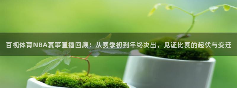 百视体育NBA赛事直播回顾：从赛季初到年终决出，见证比赛的起伏与变迁