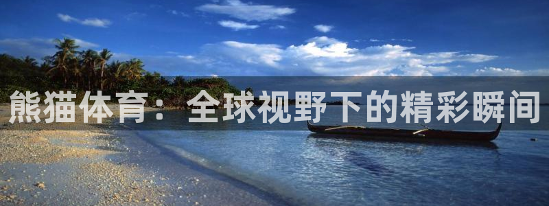 熊猫体育：全球视野下的精彩瞬间