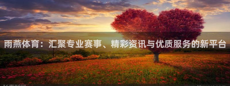 雨燕体育：汇聚专业赛事、精彩资讯与优质服务的新平台