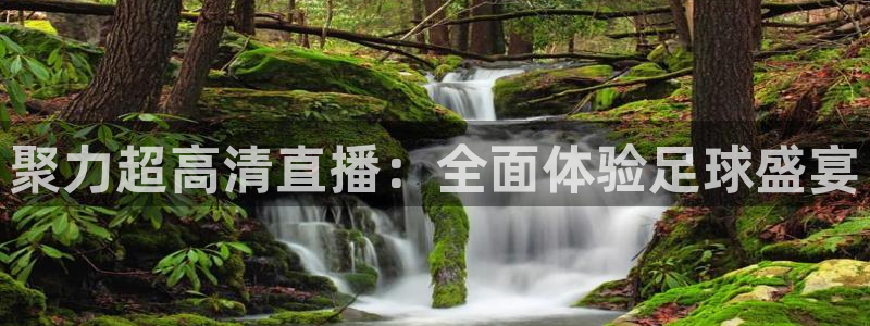聚力超高清直播：全面体验足球盛宴