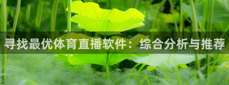 寻找最优体育直播软件：综合分析与推荐