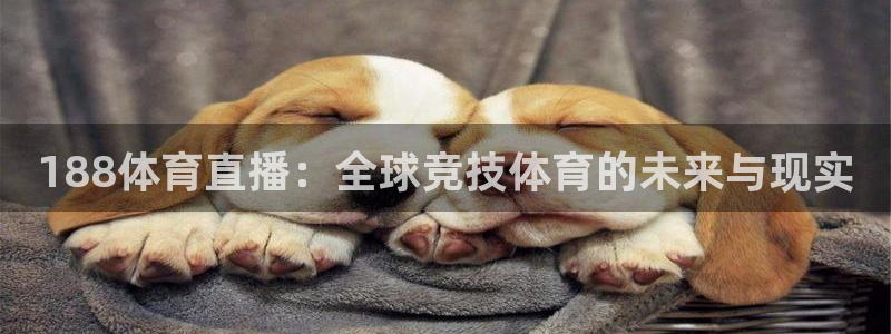 188体育直播：全球竞技体育的未来与现实