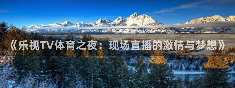 《乐视TV体育之夜：现场直播的激情与梦想》
