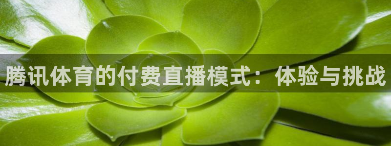 腾讯体育的付费直播模式：体验与挑战
