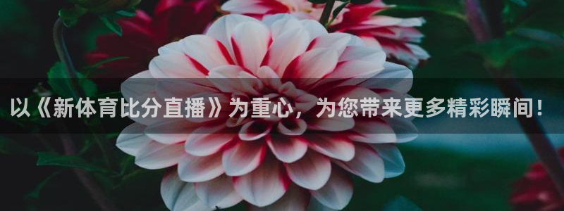 以《新体育比分直播》为重心，为您带来更多精彩瞬间！