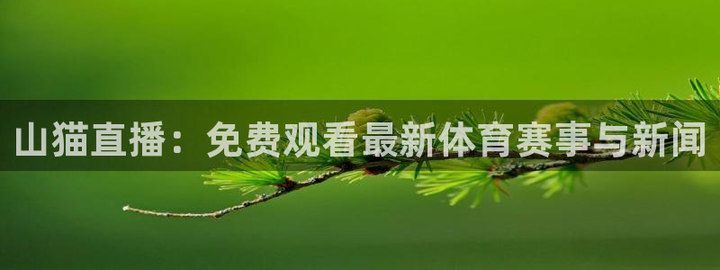 山猫直播：免费观看最新体育赛事与新闻