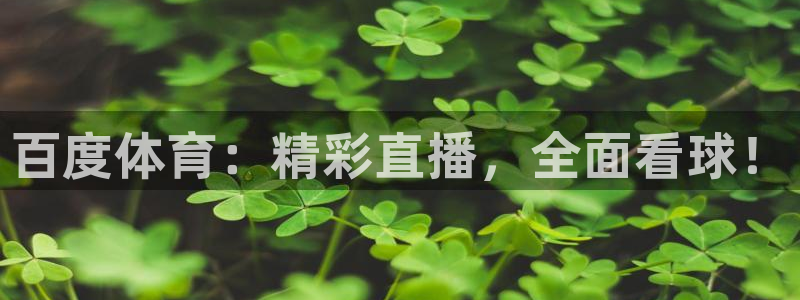 百度体育：精彩直播，全面看球！