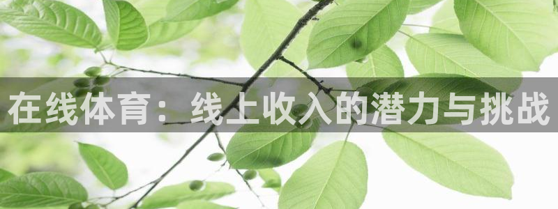 在线体育：线上收入的潜力与挑战