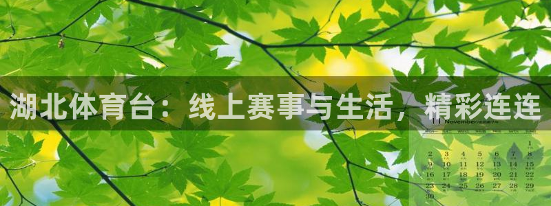 湖北体育台：线上赛事与生活，精彩连连