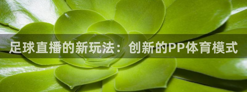 足球直播的新玩法：创新的PP体育模式