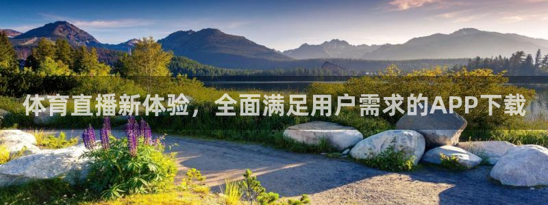 体育直播新体验，全面满足用户需求的APP下载