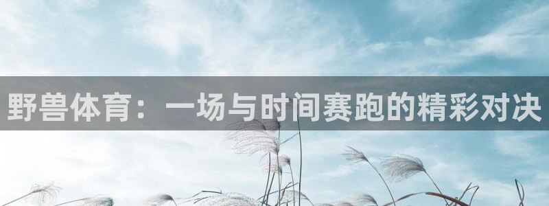 野兽体育：一场与时间赛跑的精彩对决