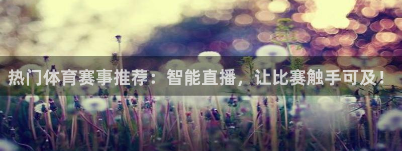 热门体育赛事推荐：智能直播，让比赛触手可及！