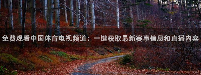 免费观看中国体育电视频道：一键获取最新赛事信息和直播内容