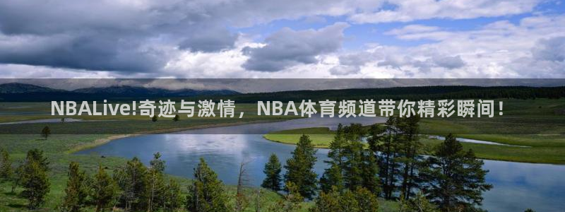 NBALive!奇迹与激情，NBA体育频道带你精彩瞬间！