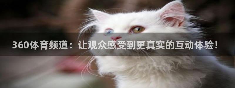 360体育频道：让观众感受到更真实的互动体验！