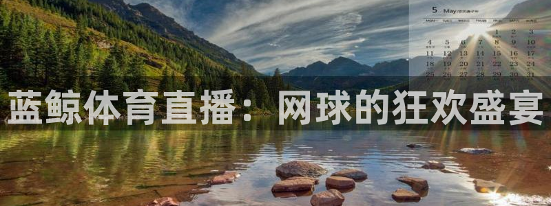 蓝鲸体育直播：网球的狂欢盛宴